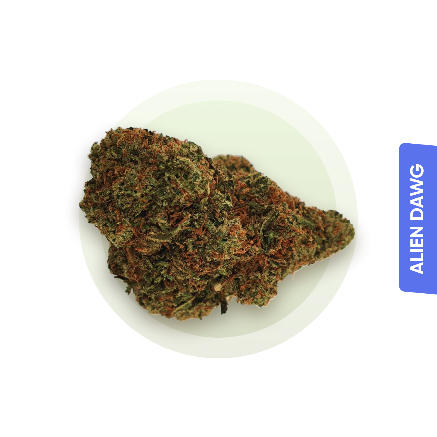 Buy weed online delivery Italy