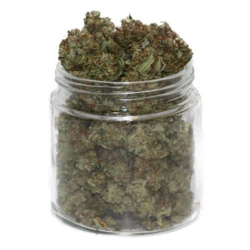 Buy Weed Online Europe