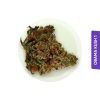 Buy Marijuana Online Europe