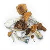 where to buy magic mushrooms online uk