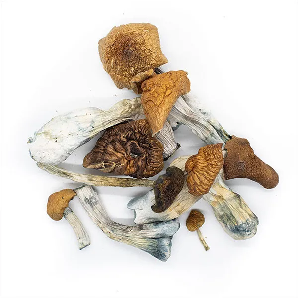 where to buy magic mushrooms online uk