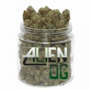 Buy weed strain for chronic pain UK