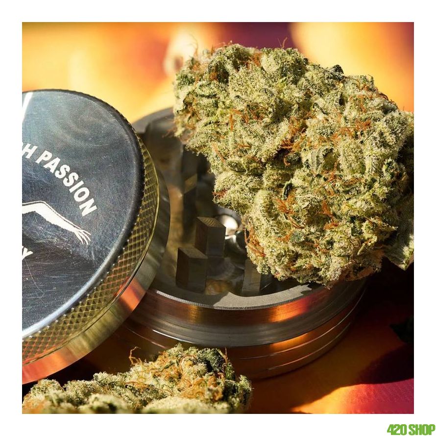 Feminized Melonade Runtz cannabis Seeds